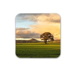 To buy a print or any of the below please click on the images